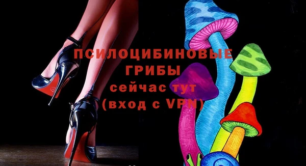 apvp Алексин