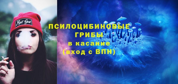 apvp Алексин