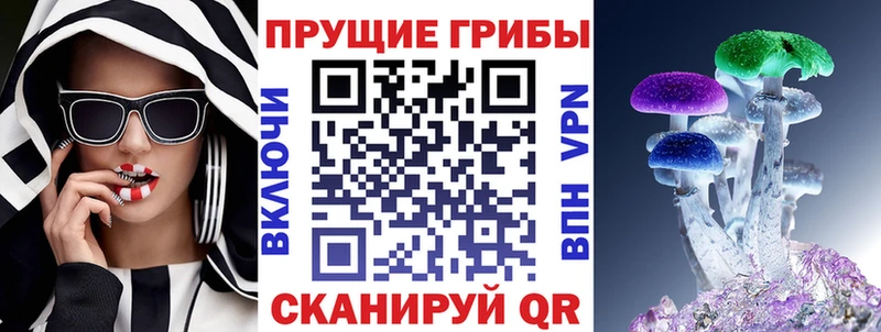 наркотики  Пудож  Псилоцибиновые грибы прущие грибы 