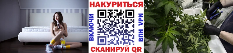 как найти наркотики  Пудож  Бошки марихуана марихуана 